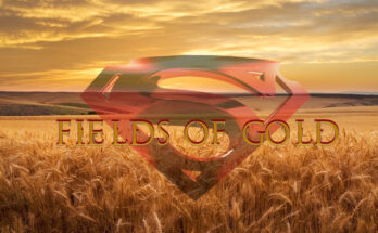 Fields of gold